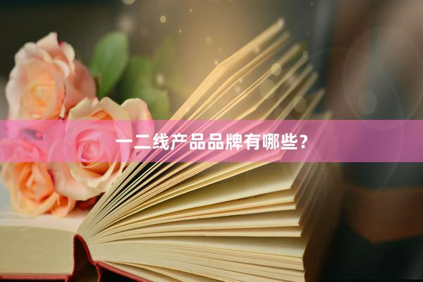 一二线产品品牌有哪些？