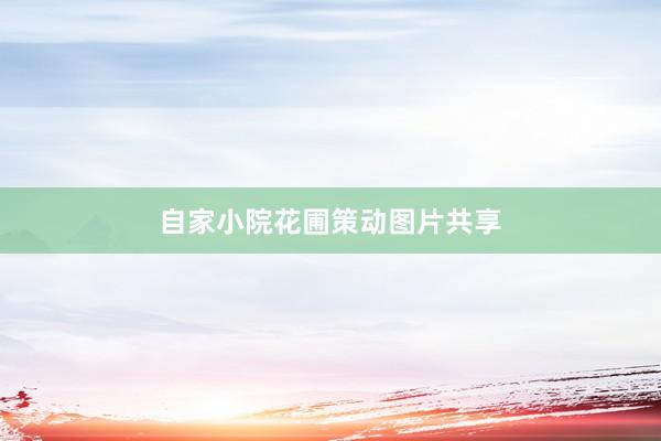 自家小院花圃策动图片共享