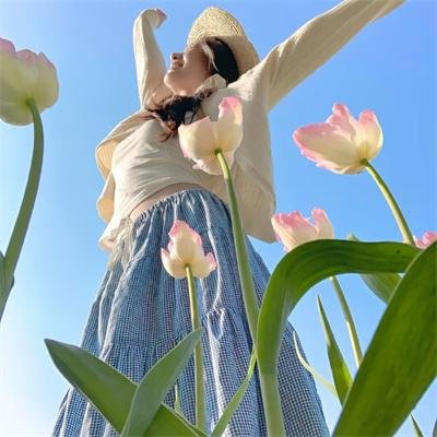 穿越后我用一本漫画平定天下